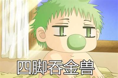 转运必备：葫芦的选购与摆放指南