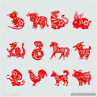 属龙2026年运势详解