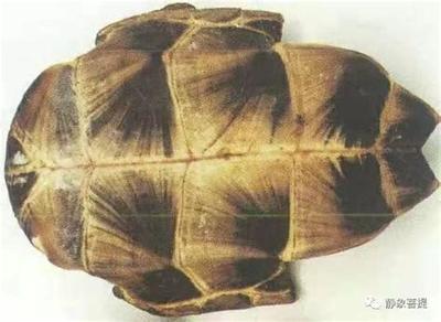 塔罗牌占卜：财运的指引