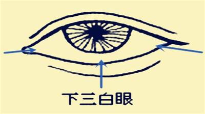 面相看眉毛：眉毛的十种类型详解