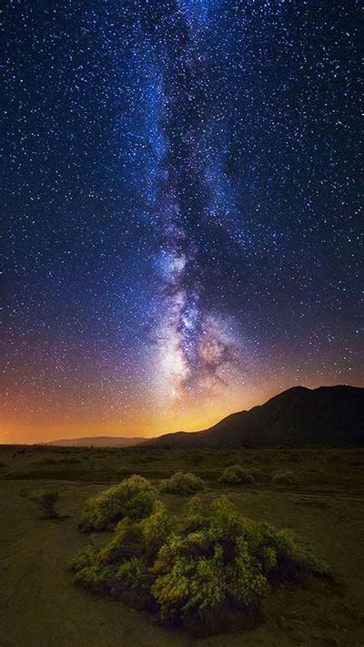 双鱼座爱情运势：2026年不可错过解读