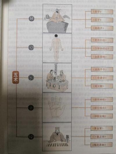 紫微斗数入门基础知识:入门必读学习指南