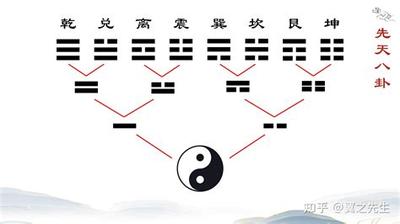 周易坤卦详解：卦辞与爻辞解读