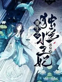 重生之王妃有点作