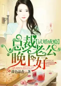 试婚成瘾:总裁老公晚上好