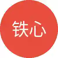 铁心源